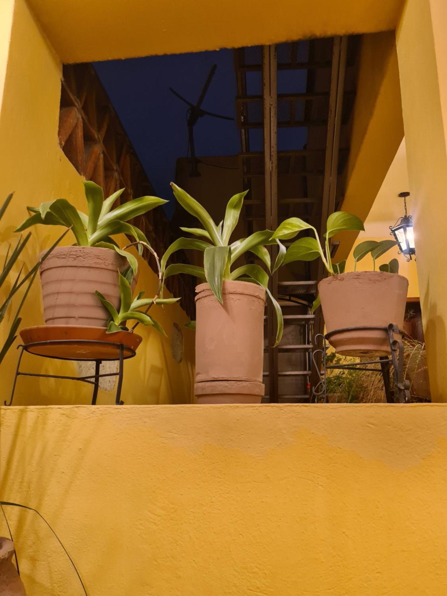 Hotel Casa Divina Oaxaca Eksteriør billede