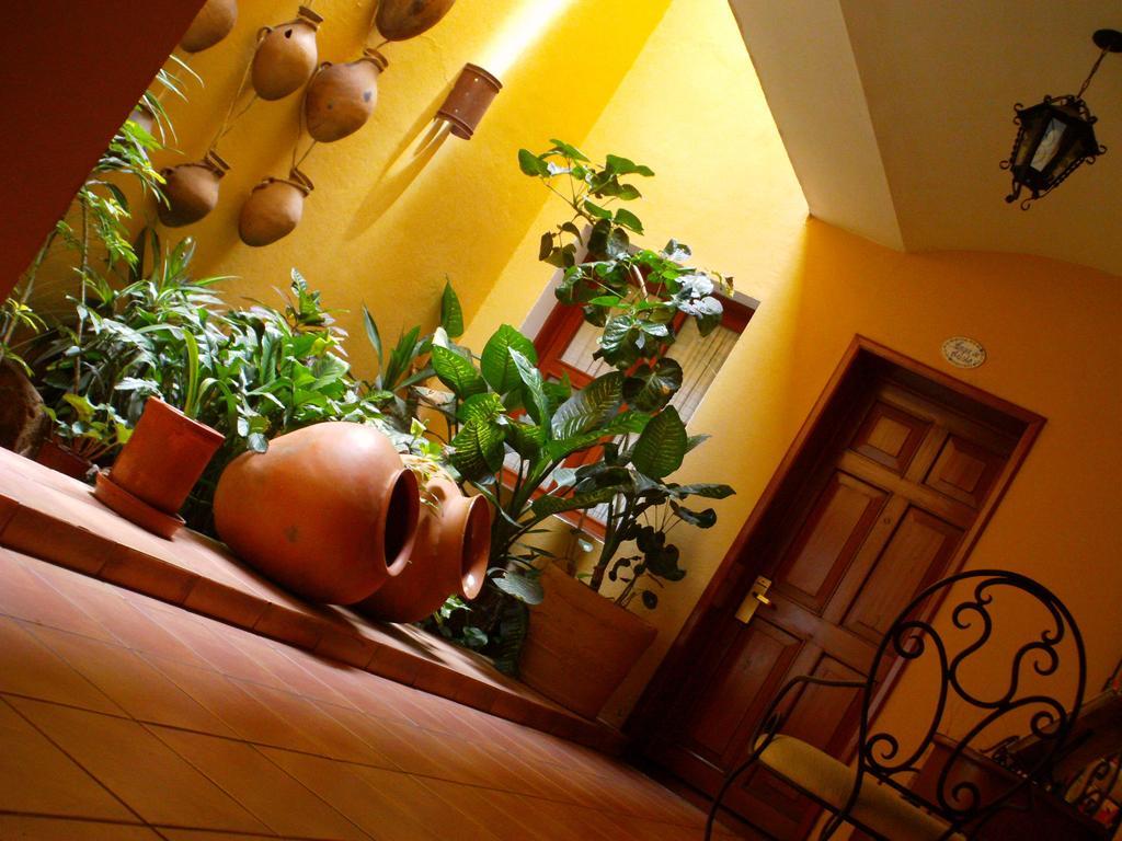 Hotel Casa Divina Oaxaca Eksteriør billede